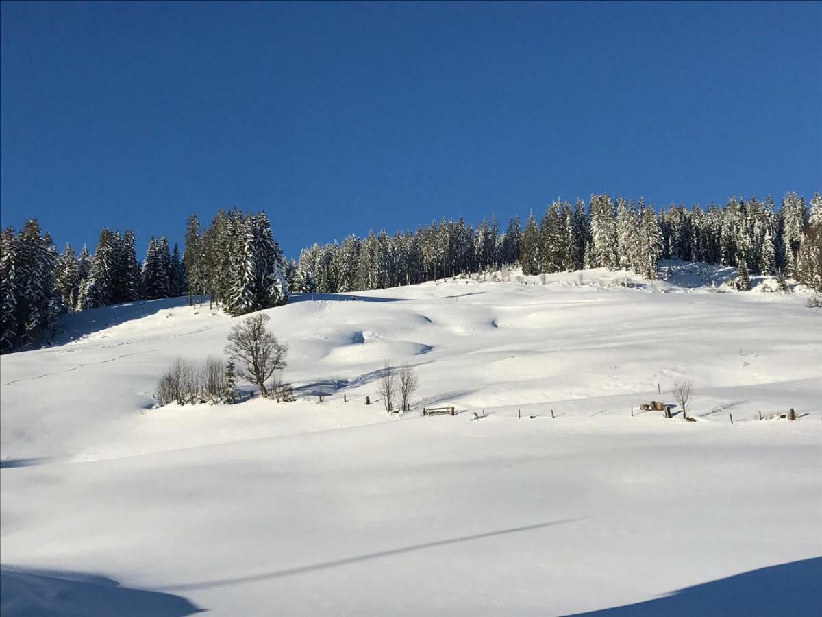 Bergpension Zinting Brixen im Thale Luaran gambar